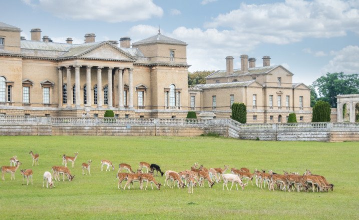 Holkham Hall